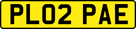 PL02PAE
