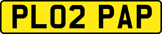 PL02PAP