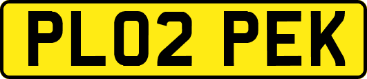PL02PEK