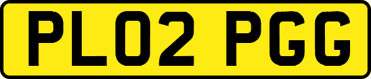 PL02PGG