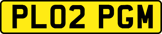 PL02PGM