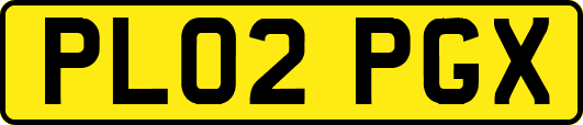 PL02PGX