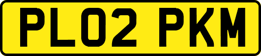 PL02PKM