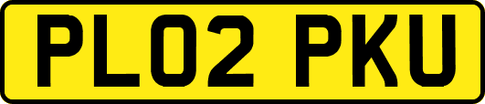 PL02PKU