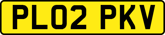 PL02PKV