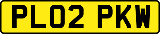 PL02PKW