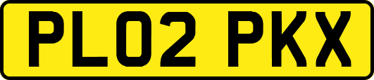 PL02PKX