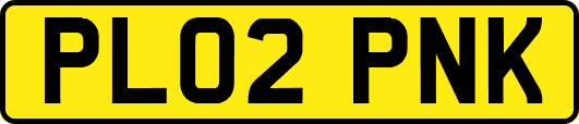 PL02PNK