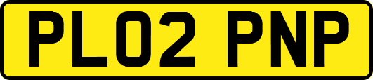PL02PNP