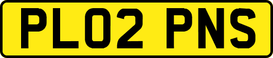 PL02PNS
