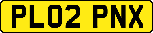 PL02PNX