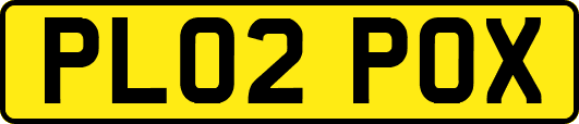 PL02POX