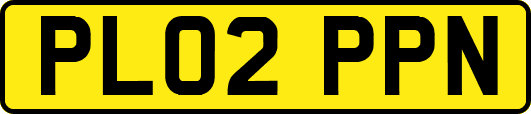 PL02PPN