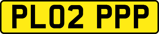 PL02PPP