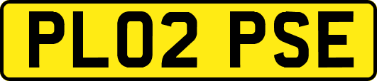 PL02PSE
