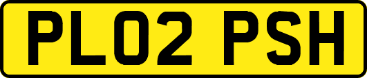 PL02PSH