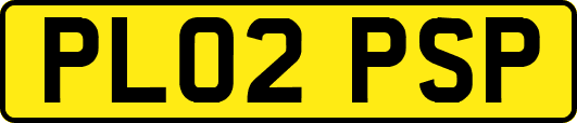 PL02PSP