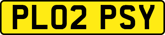 PL02PSY