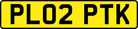 PL02PTK