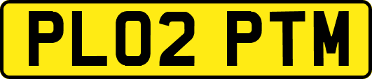 PL02PTM