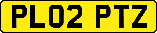 PL02PTZ