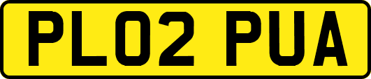 PL02PUA
