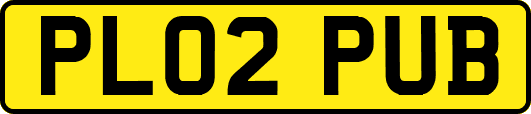 PL02PUB