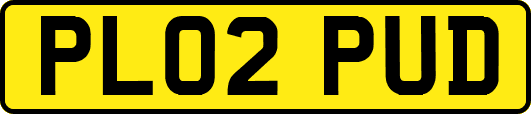 PL02PUD