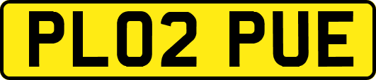 PL02PUE