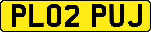 PL02PUJ