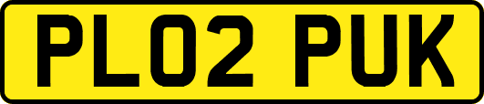 PL02PUK
