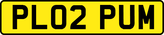 PL02PUM