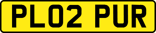 PL02PUR