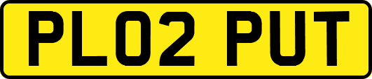 PL02PUT