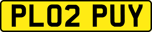 PL02PUY