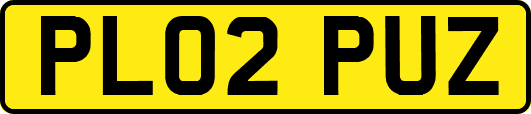 PL02PUZ