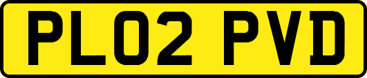 PL02PVD