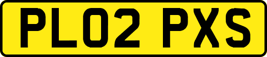PL02PXS