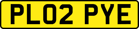 PL02PYE
