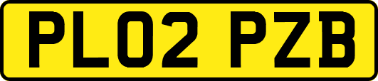 PL02PZB