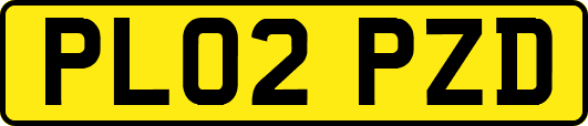 PL02PZD