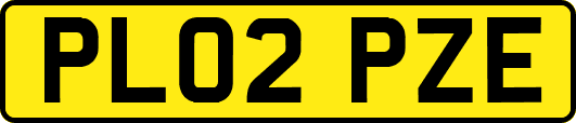 PL02PZE