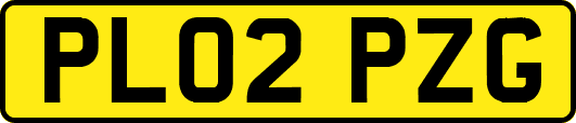 PL02PZG