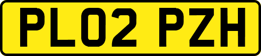 PL02PZH