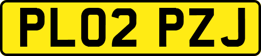 PL02PZJ