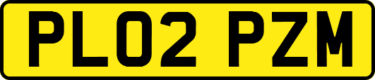 PL02PZM