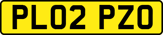 PL02PZO