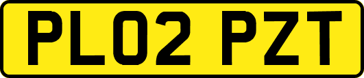 PL02PZT