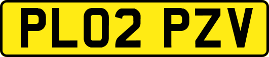 PL02PZV