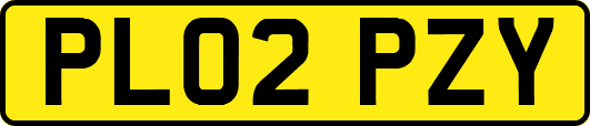 PL02PZY